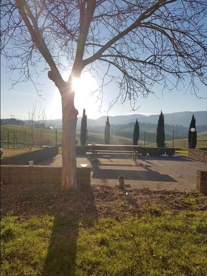 Agriturismo La Valle Della Lavanda - Podere Mezzastrada Fauglia Exterior photo