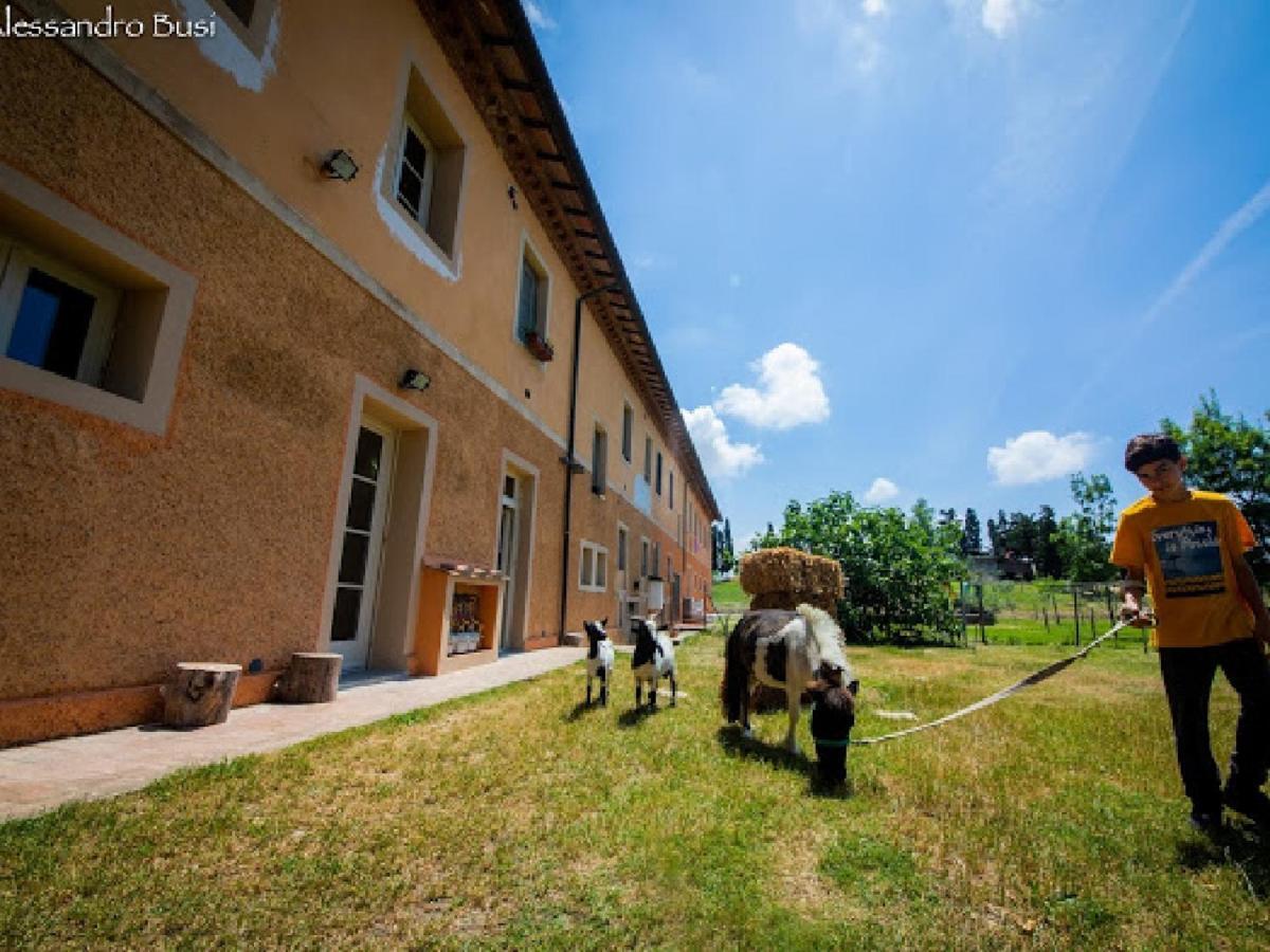 Agriturismo La Valle Della Lavanda - Podere Mezzastrada Fauglia Exterior photo
